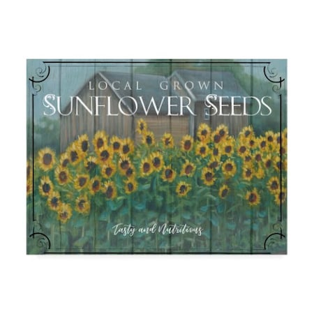 Trademark Fine Art Marnie Bourque 'Sunflower Seeds' Canvas Art, 14x19 ALI44470-C1419GG